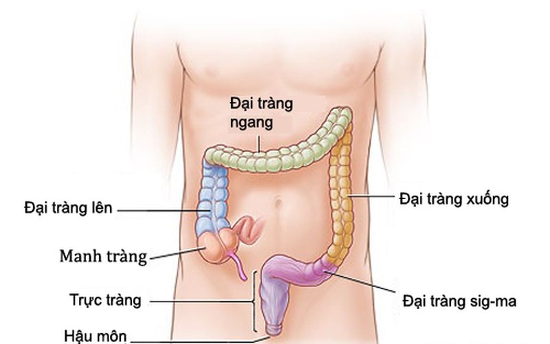 6 thói quen lành mạnh giúp chặn đứng căn bệnh ung thư phổ biến thứ 5 Việt Nam: Duy trì đều đặn thì không sợ bệnh tật ghé thăm - Ảnh 2.