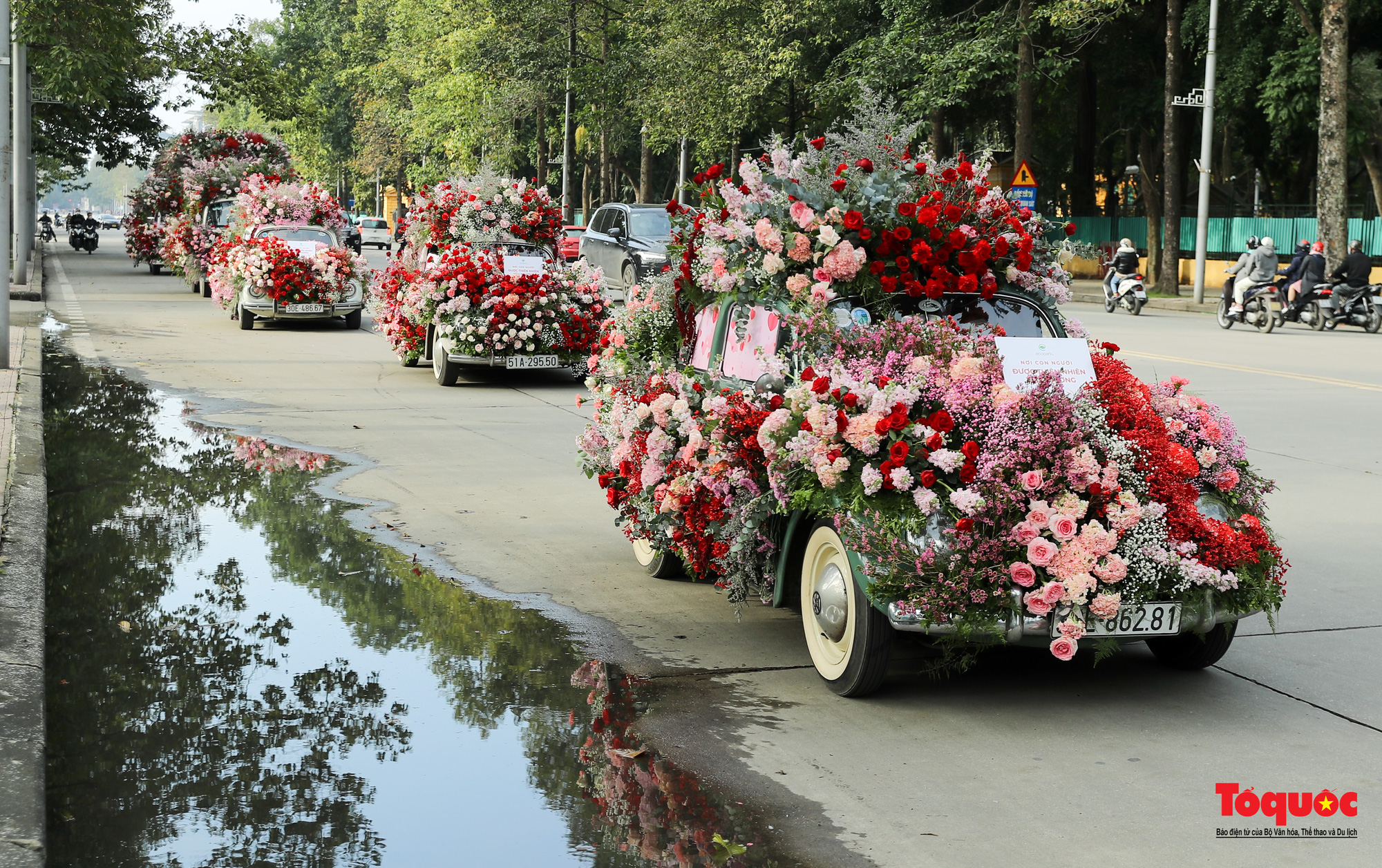 Hàng ngàn bông hoa hồng được gửi trao yêu thương trong ngày lễ tình nhân - Ảnh 4.