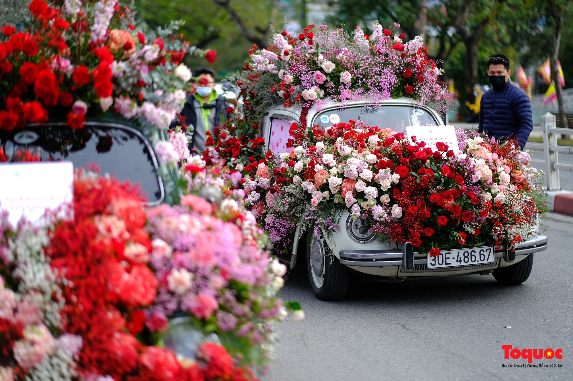 Hàng ngàn bông hoa hồng được gửi trao yêu thương trong ngày lễ tình nhân - Ảnh 3.