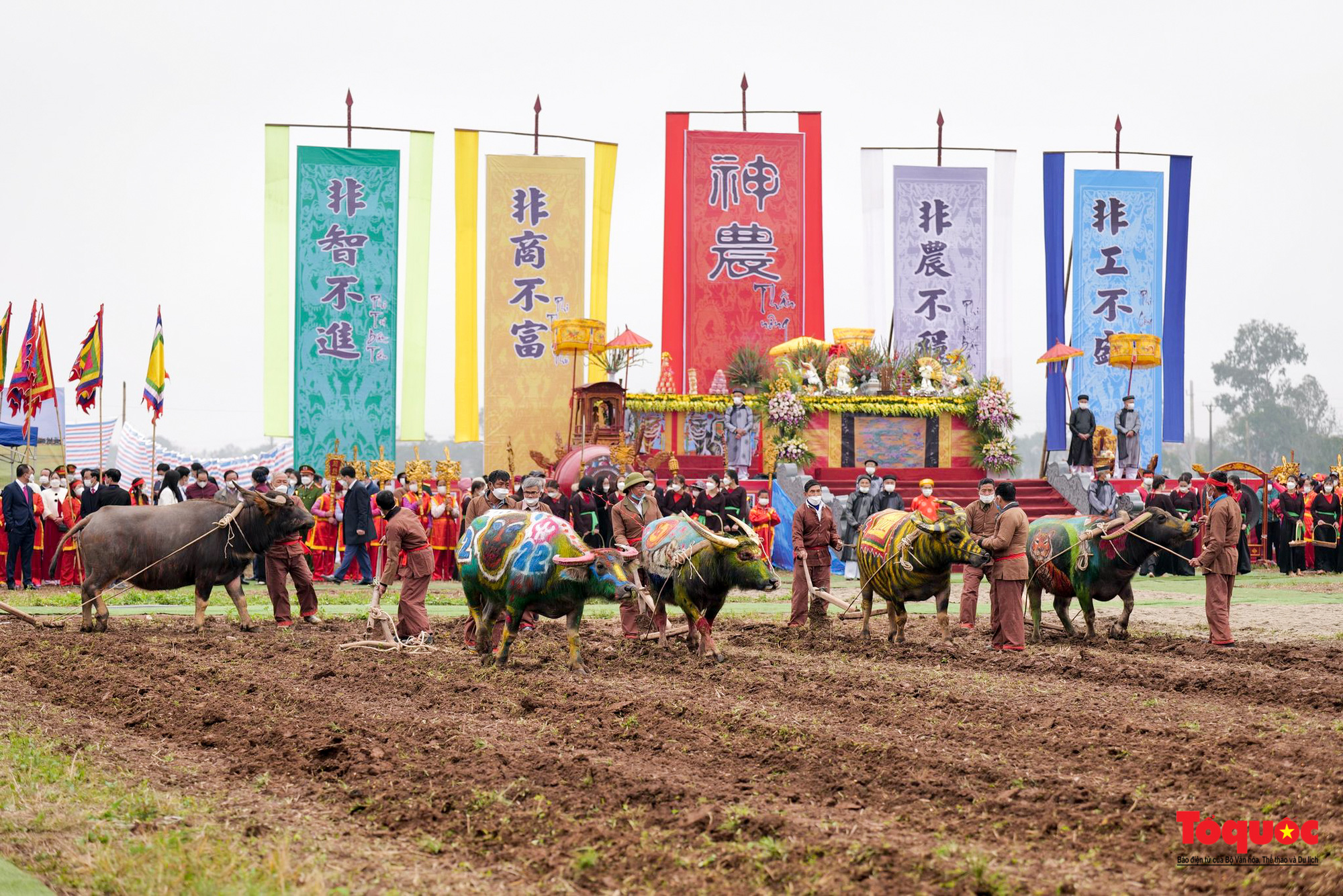 Chủ tịch nước xuống đồng cày ruộng đầu năm mới tại Lễ hội Tịch điền Đọi Sơn - Ảnh 12.