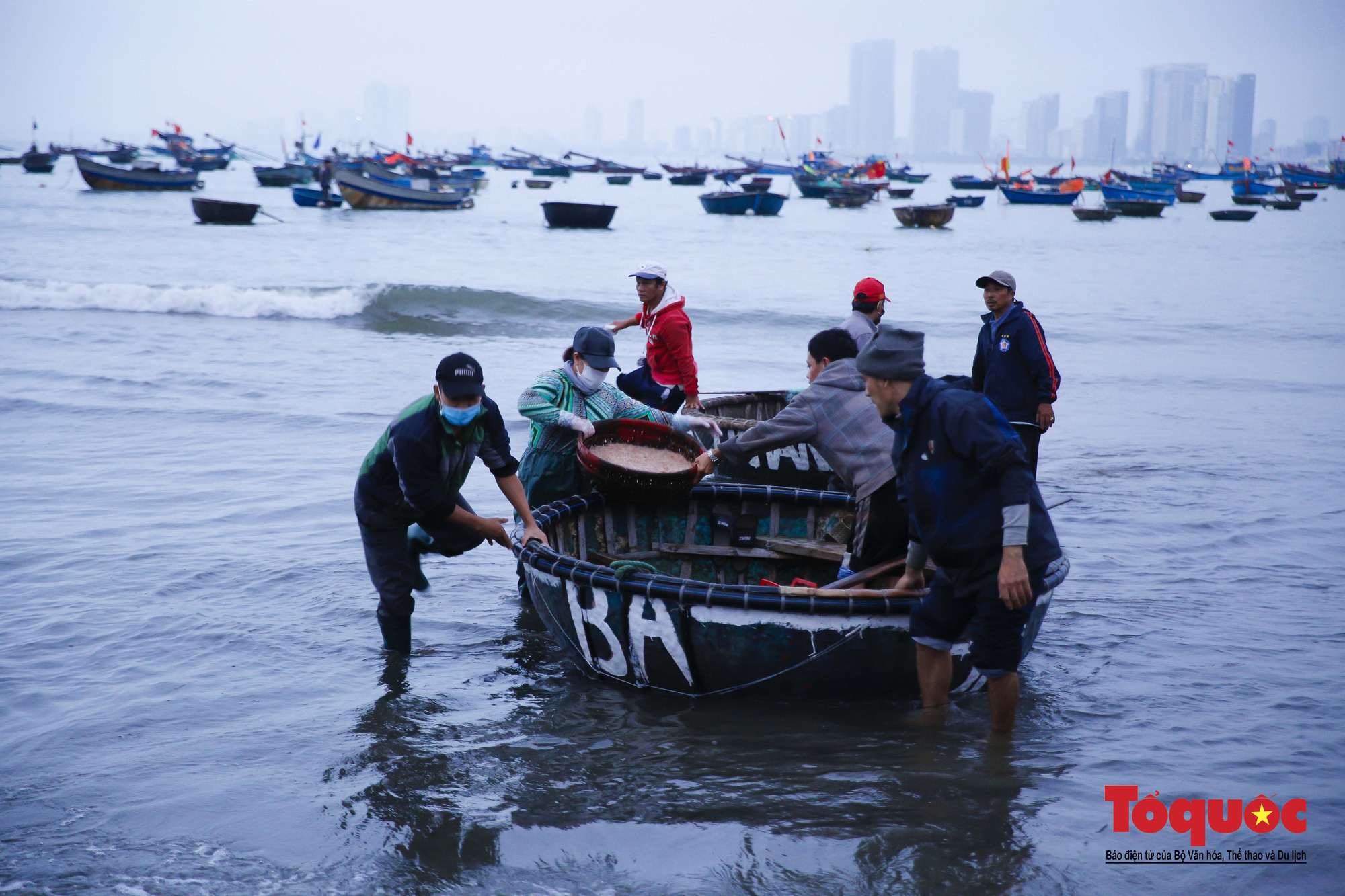 Vào mùa ruốc biển, ngư dân Đà Nẵng kiếm tiền triệu mỗi ngày - Ảnh 2.