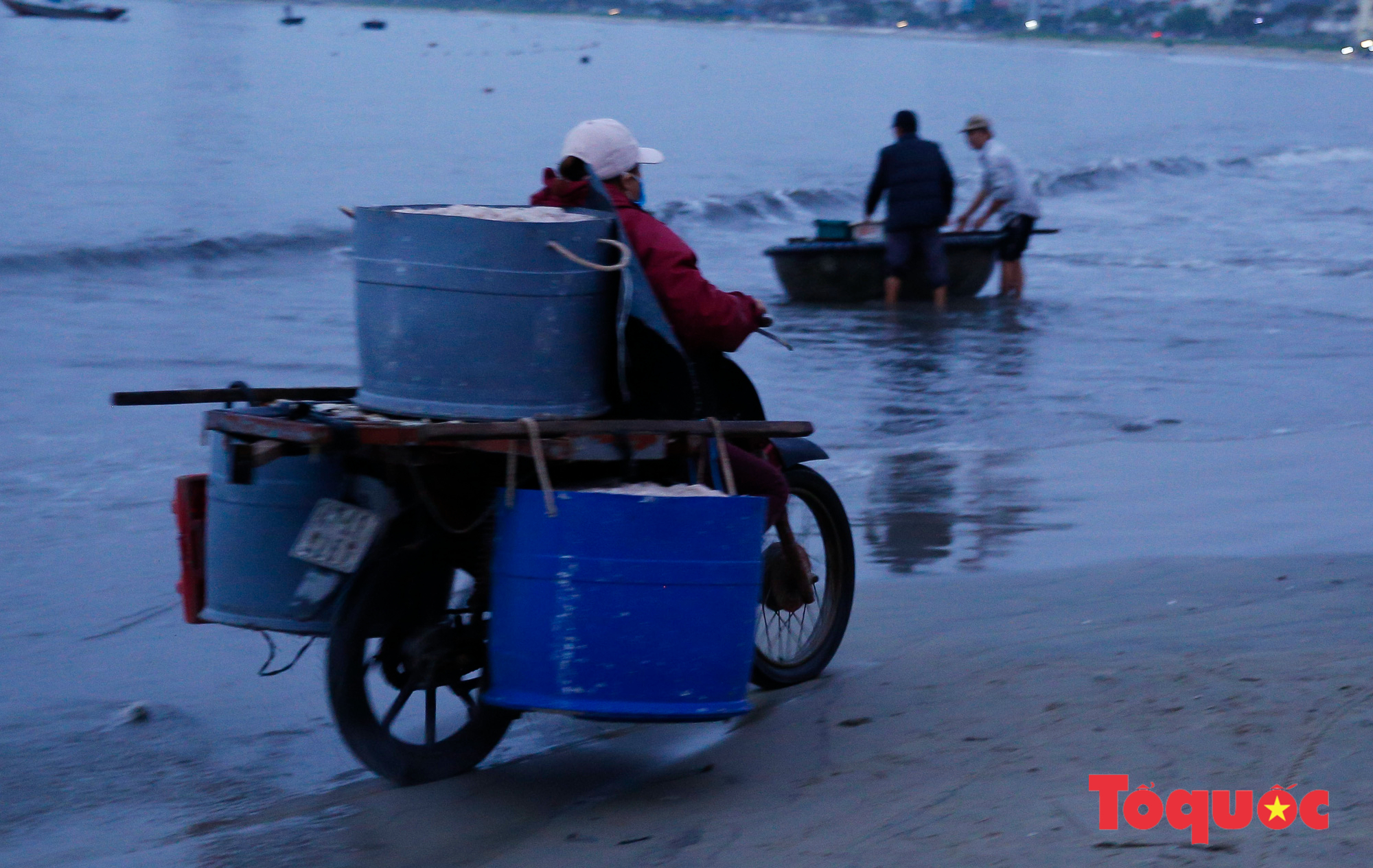 Vào mùa ruốc biển, ngư dân Đà Nẵng kiếm tiền triệu mỗi ngày - Ảnh 11.