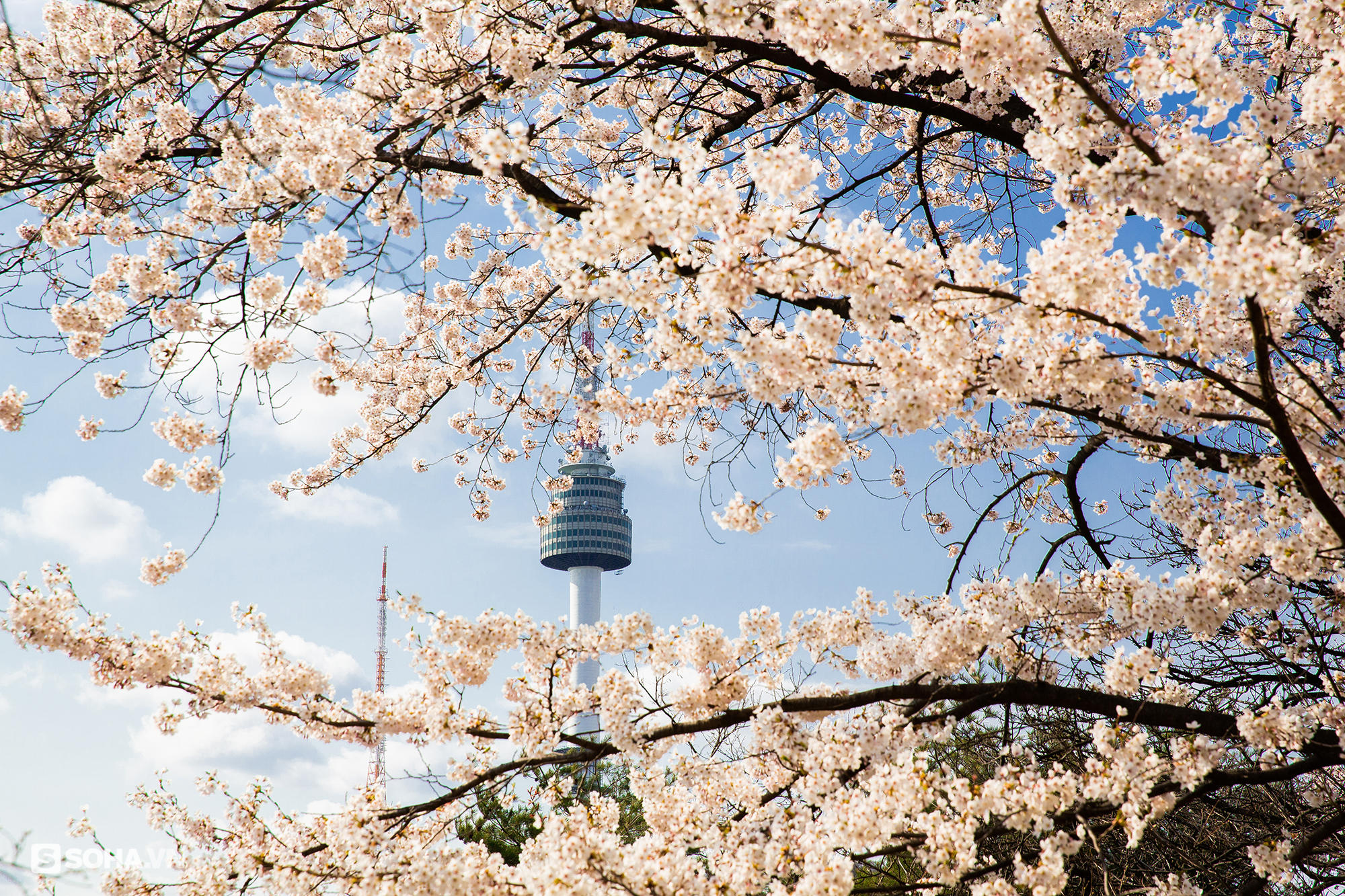Tháp chọc trời Seoul: Cả nghìn móc khoá anh yêu em; nhìn thấy chữ Hà Nội ở nơi đặc biệt - Ảnh 3.
