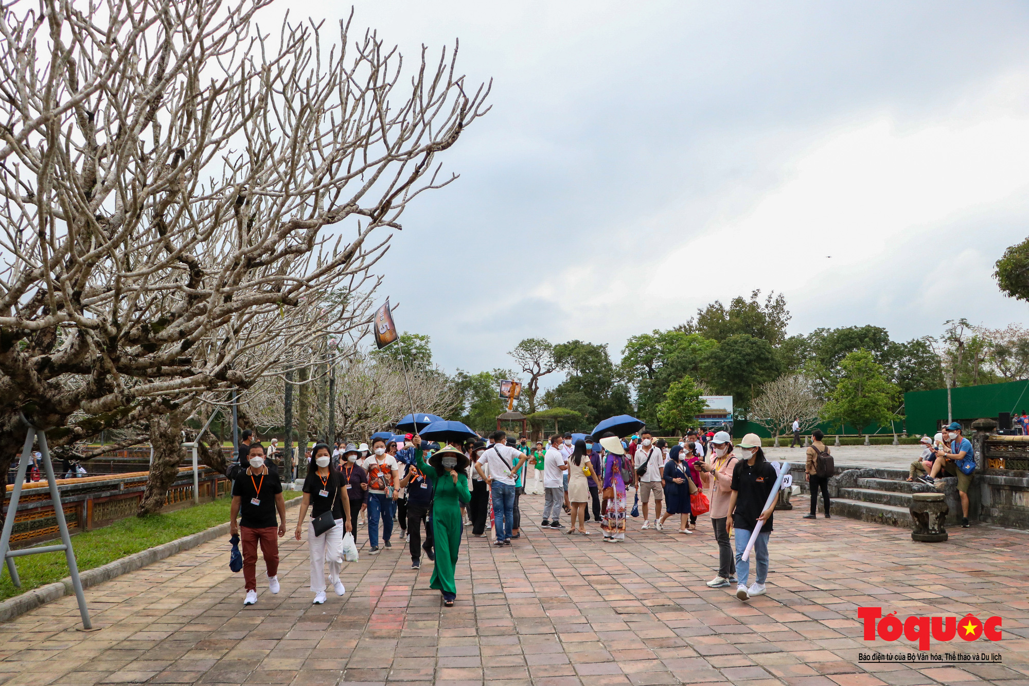 Thừa Thiên Huế đón đoàn khách gần 600 người theo hình thức Team building - Ảnh 2.