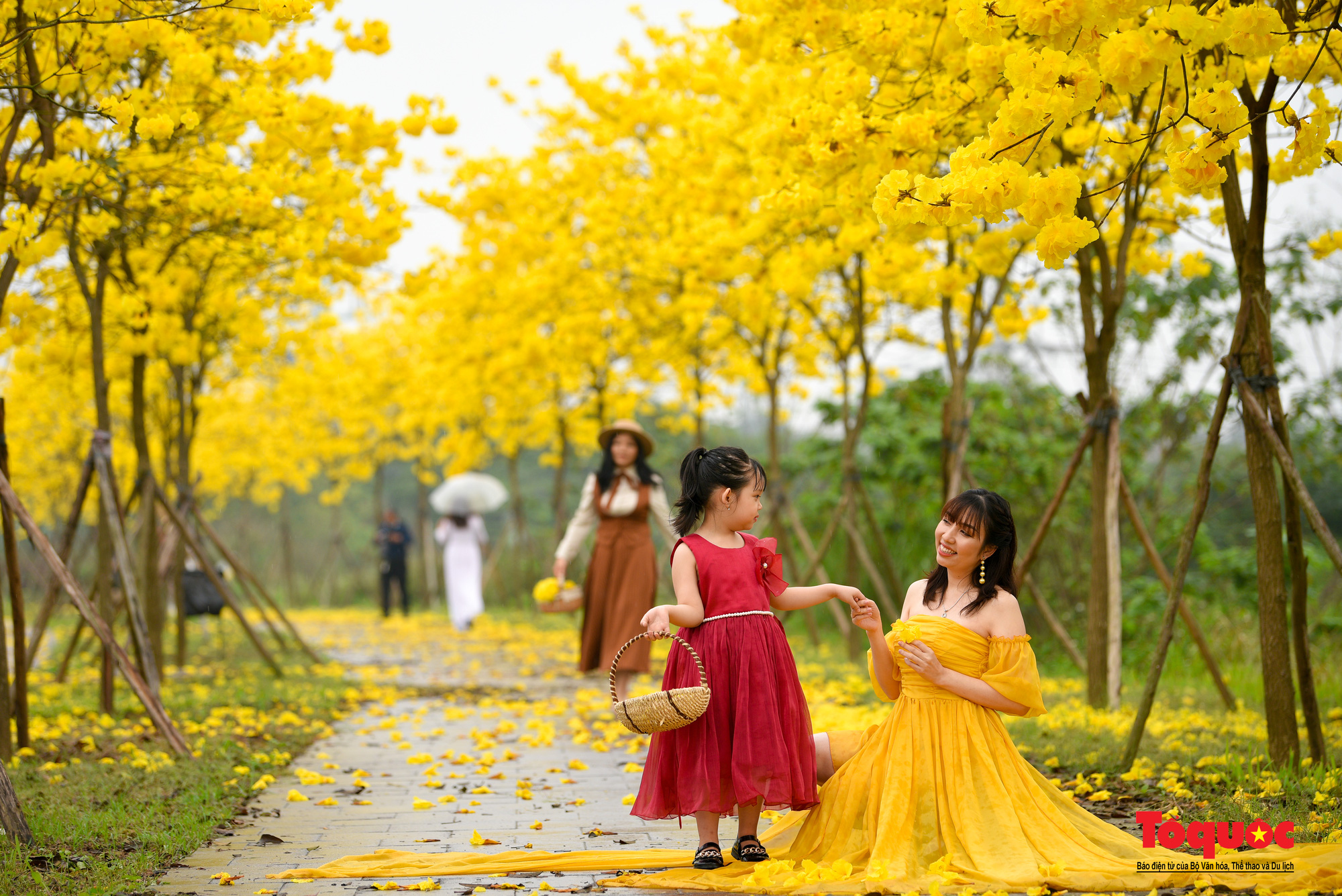 Người Hà Nội Đổ xô chụp ảnh ở đường hoa vàng óng mới xuất hiện tại thủ đô - Ảnh 14.