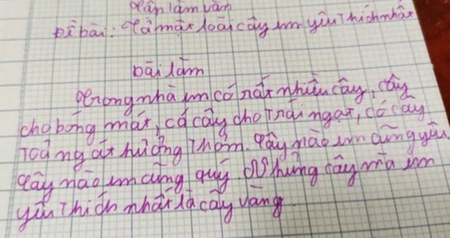 Thêm một bài văn tả CÁI CÂY của học sinh tiểu học khiến ai nấy cười ba ngày chưa tỉnh: Nhà có cây này thì đời ÊM ẤM quá! - Ảnh 3.