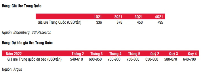 SSI Research: Giá ure có thể đạt đỉnh trong tháng 3 và giảm mạnh từ tháng 6 trở đi