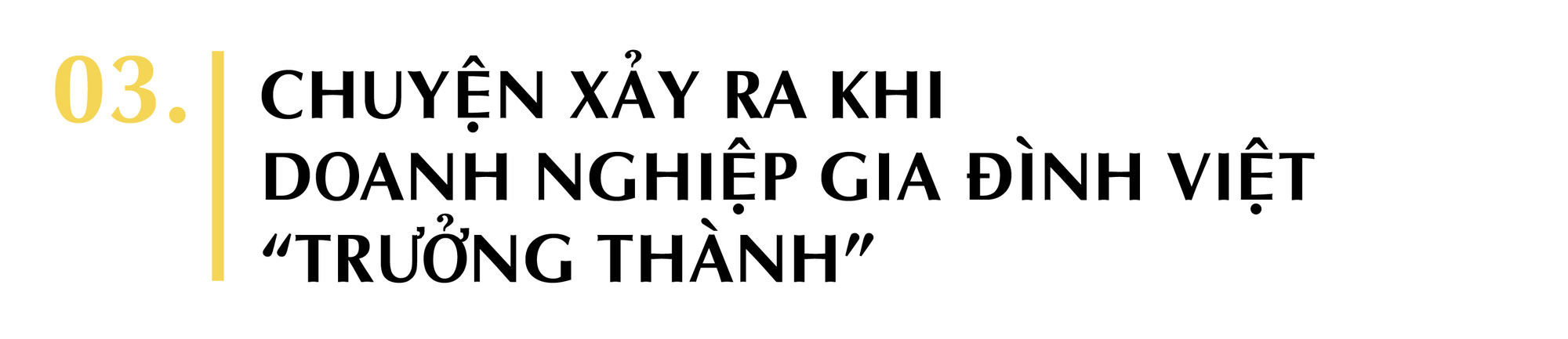 Phía sau tham vọng trở thành “gia tộc doanh nhân” trường tồn của các doanh nghiệp gia đình Việt Nam - Ảnh 7. Phía sau tham vọng trở thành “gia tộc doanh nhân” trường tồn của các doanh nghiệp gia đình Việt Nam - Ảnh 7.