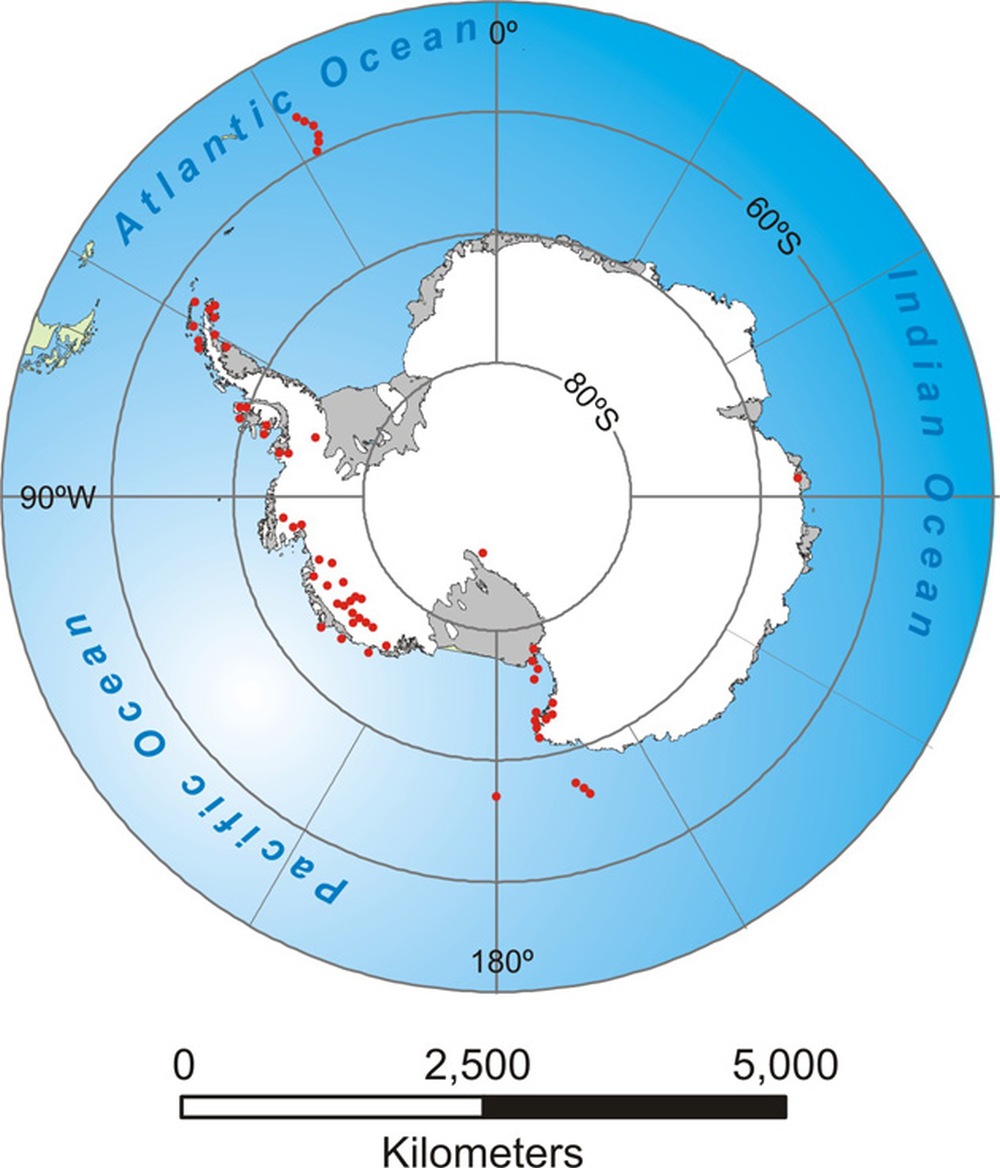 Điều gì sẽ xảy ra nếu những ngọn núi lửa ẩn mình dưới lớp băng của Nam Cực thức giấc? - Ảnh 3.