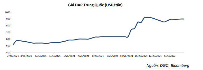 Hóa chất Đức Giang (DGC): Đặt kế hoạch lãi 3.500 tỷ đồng năm 2022, trình phương án phát hành hơn 8,5 triệu cổ phiếu ESOP với giá 10.000 đồng/cp - Ảnh 2.