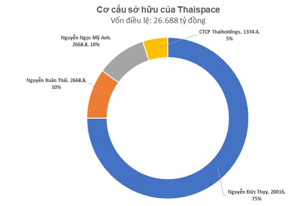 Bầu Thụy có thể chi hơn 8.300 tỷ đồng mua cổ phiếu THD (Thaiholdings), nâng sở hữu lên hơn 40% vốn điều lệ - Ảnh 2.