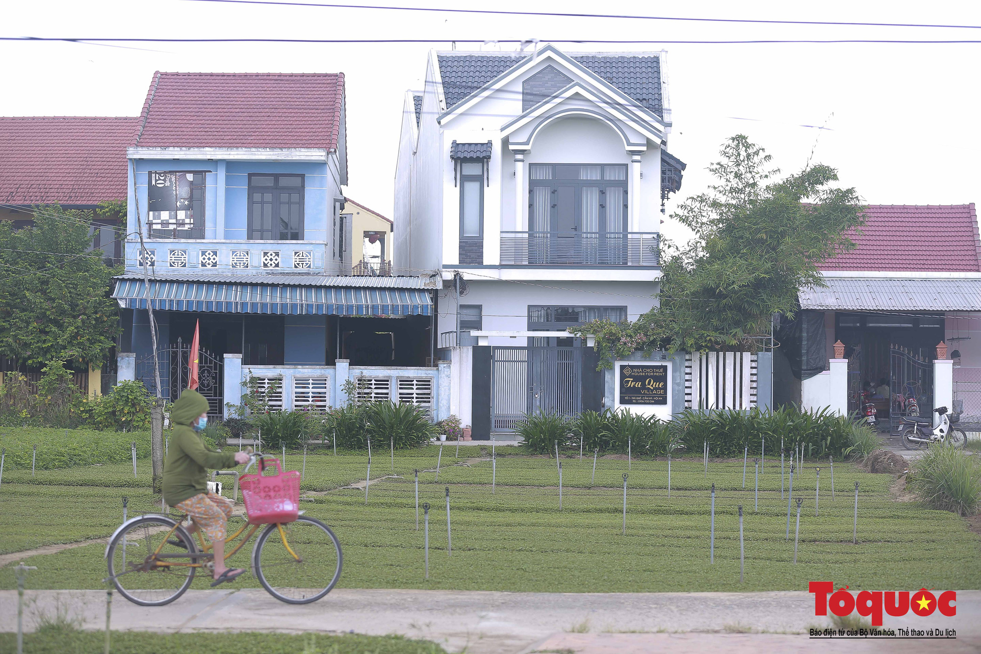 Về “làng rau hàng trăm năm tuổi” vừa được đưa vào danh mục Di sản văn hóa phi vật thể quốc gia - Ảnh 15.