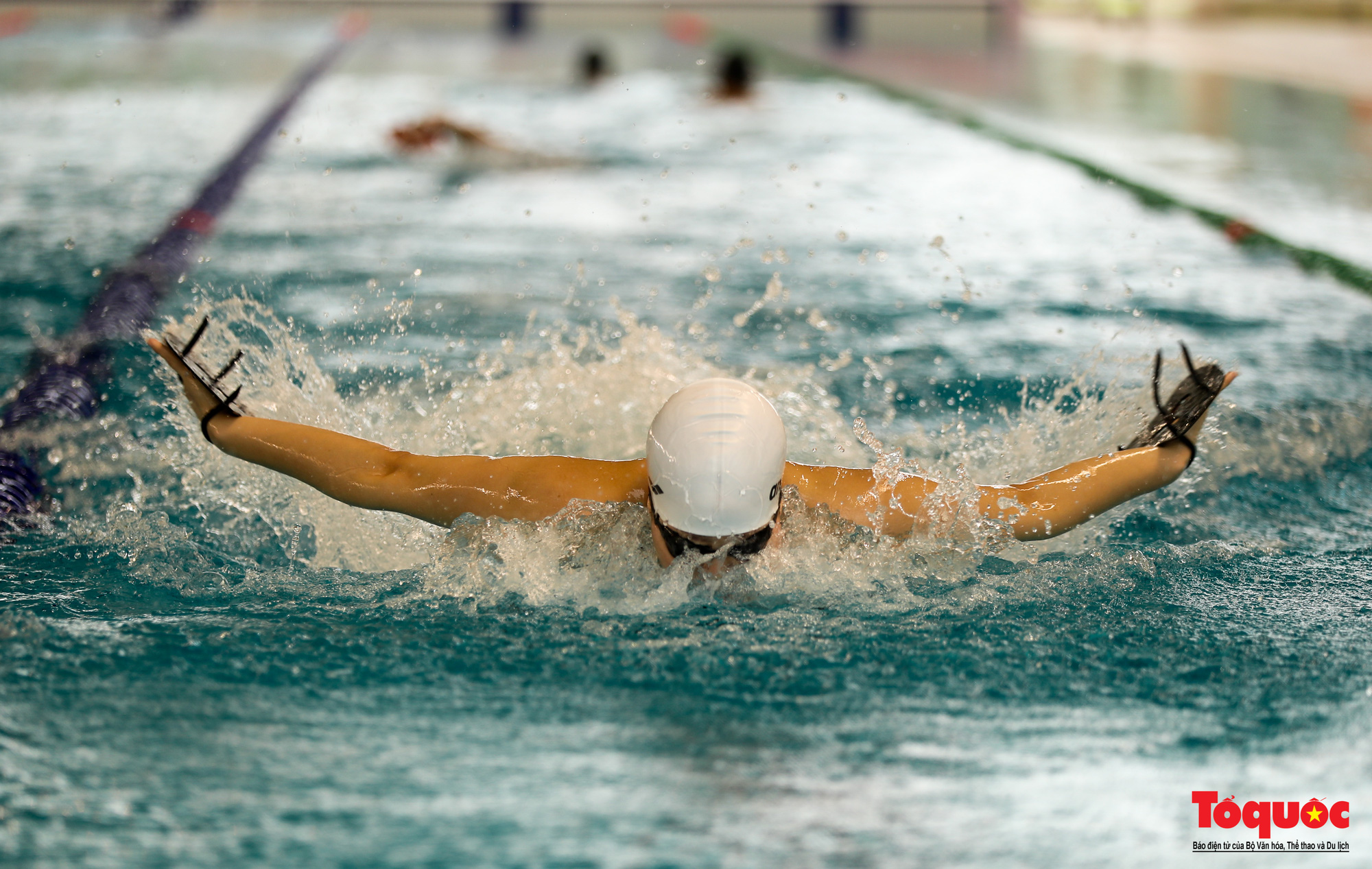 Kình ngư Việt Nam luyệt tập cho ngày &quot;săn vàng&quot; trên đường đua xanh SEA Games 31 - Ảnh 15.