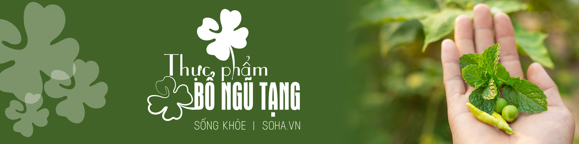 4 gia vị kháng viêm, quét sạch mỡ máu cực kỳ tốt: Nhà nào cũng có, chỉ chưa biết dùng - Ảnh 6. 4 gia vị kháng viêm, quét sạch mỡ máu cực kỳ tốt: Nhà nào cũng có, chỉ chưa biết dùng - Ảnh 6.