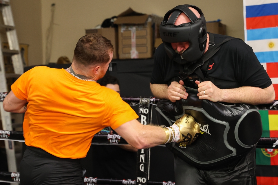 Đứng yên để Canelo Alvarez đấm vào bụng, blogger nhận về cái kết đăng  - Ảnh 4.