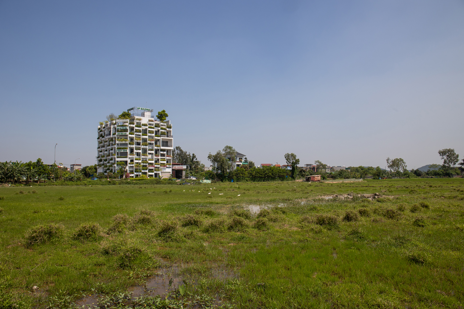 Bắc Ninh: Mãn nhãn với tòa nhà nằm ở phía Tây nhưng lúc nào cũng xanh mát - Ảnh 1.