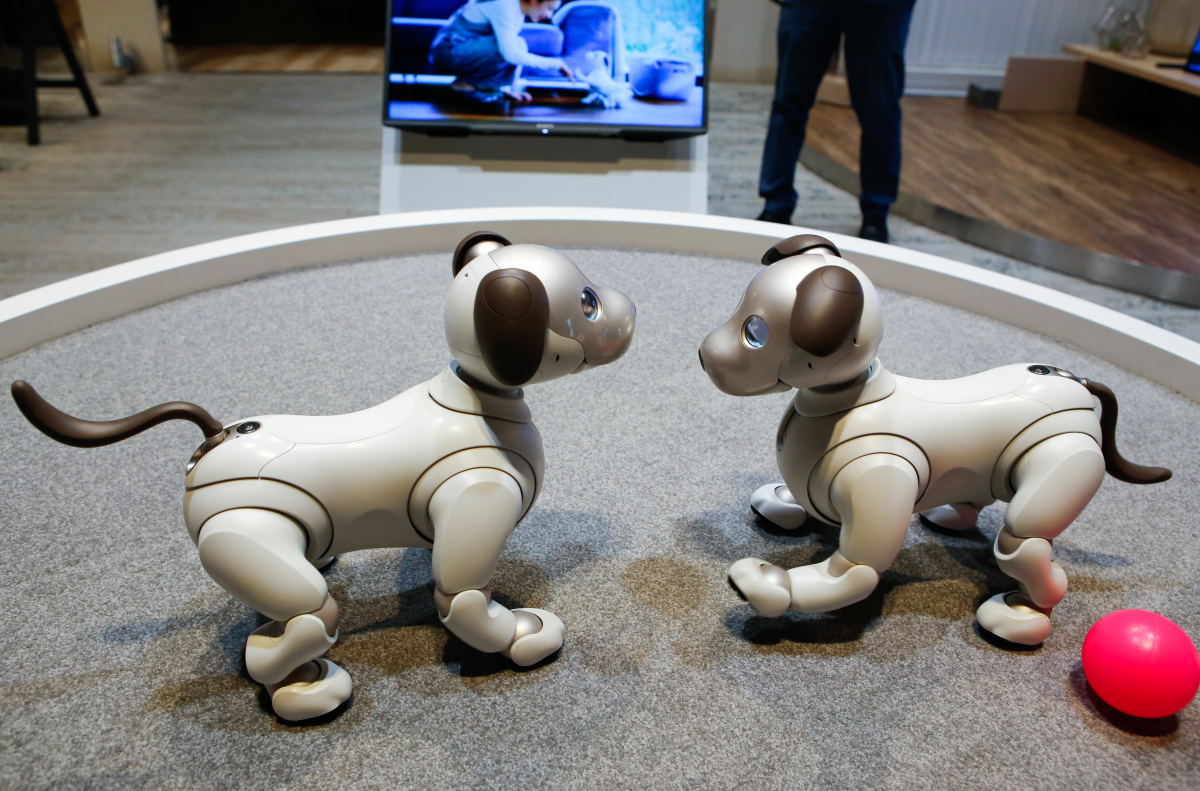 Khám phá chú chó robot Sony Aibo, món đồ chơi có giá 70 triệu mà mọi đứa trẻ đều mơ ước! - Ảnh 3.