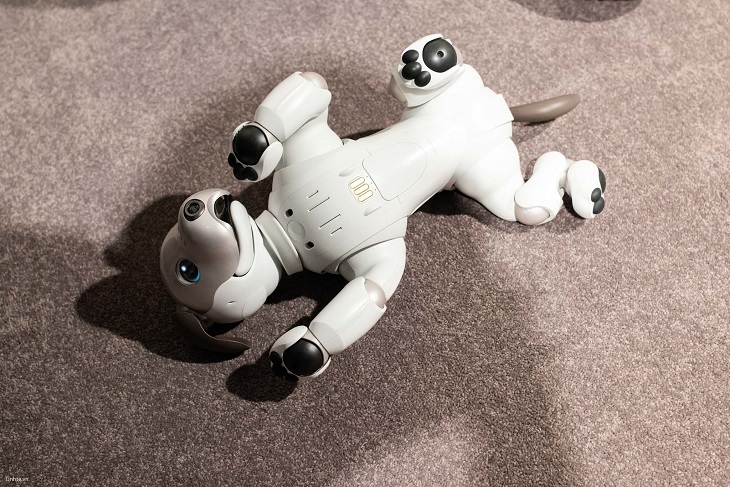 Khám phá chú chó robot Sony Aibo, món đồ chơi có giá 70 triệu mà mọi đứa trẻ đều mơ ước! - Ảnh 10.