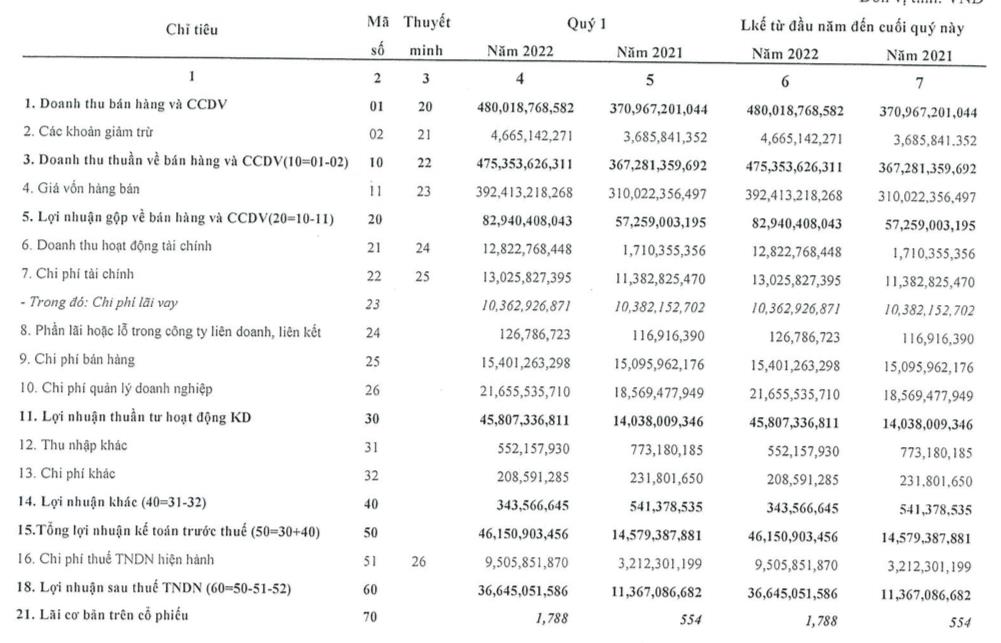 Hanosimex (HSM): Quý 1 lãi 47 tỷ đồng cao gấp 3 lần cùng kỳ - Ảnh 1.