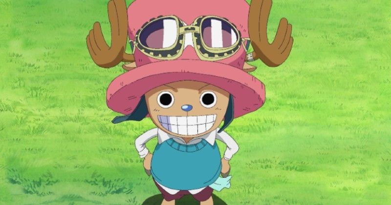 Bác sĩ của băng Mũ Rơm và 4 động vật biết nói tiếng người trong thế giới One Piece - Ảnh 1.