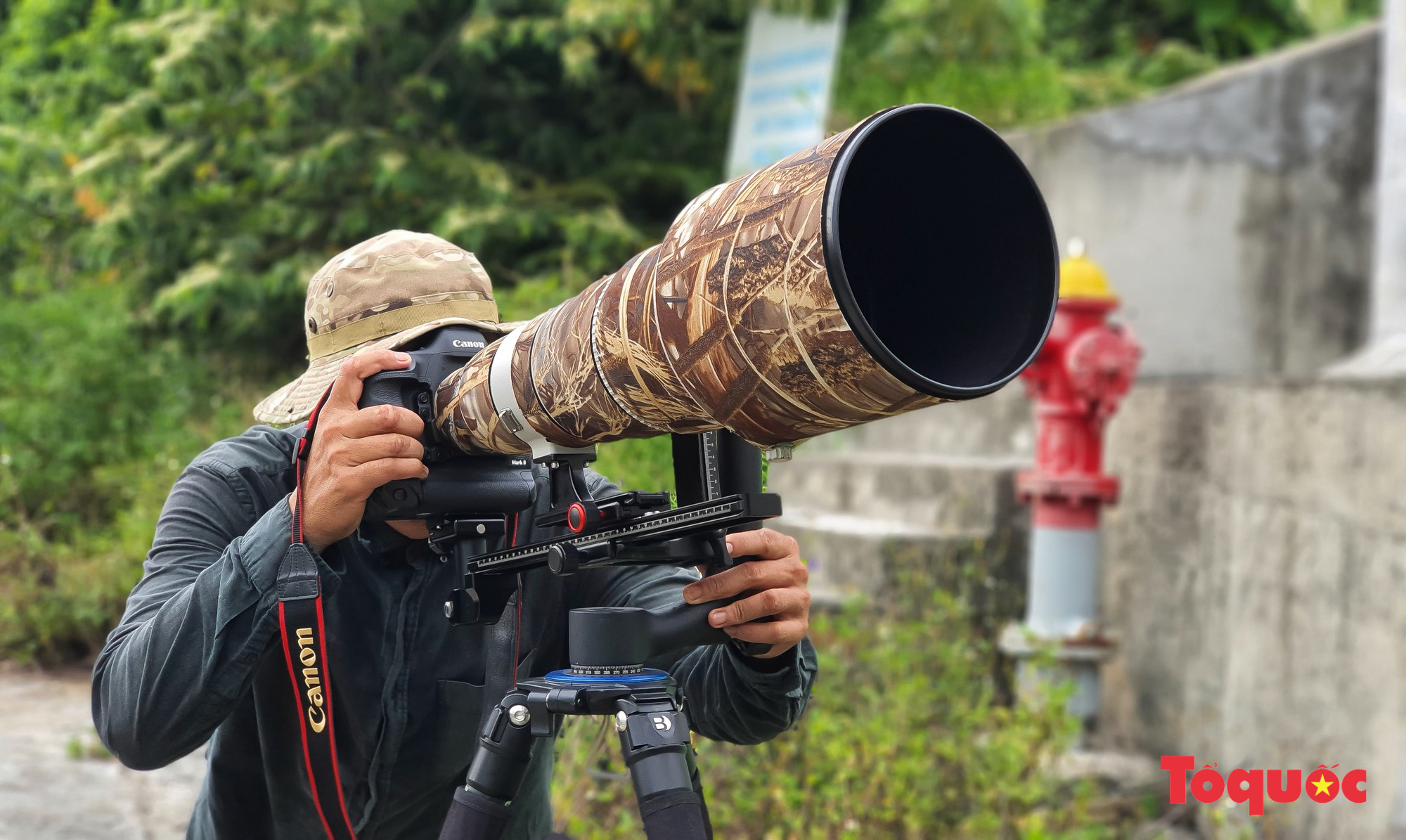 Săn ảnh mùa hoa tím trên bán đảo Sơn Trà    - Ảnh 10.