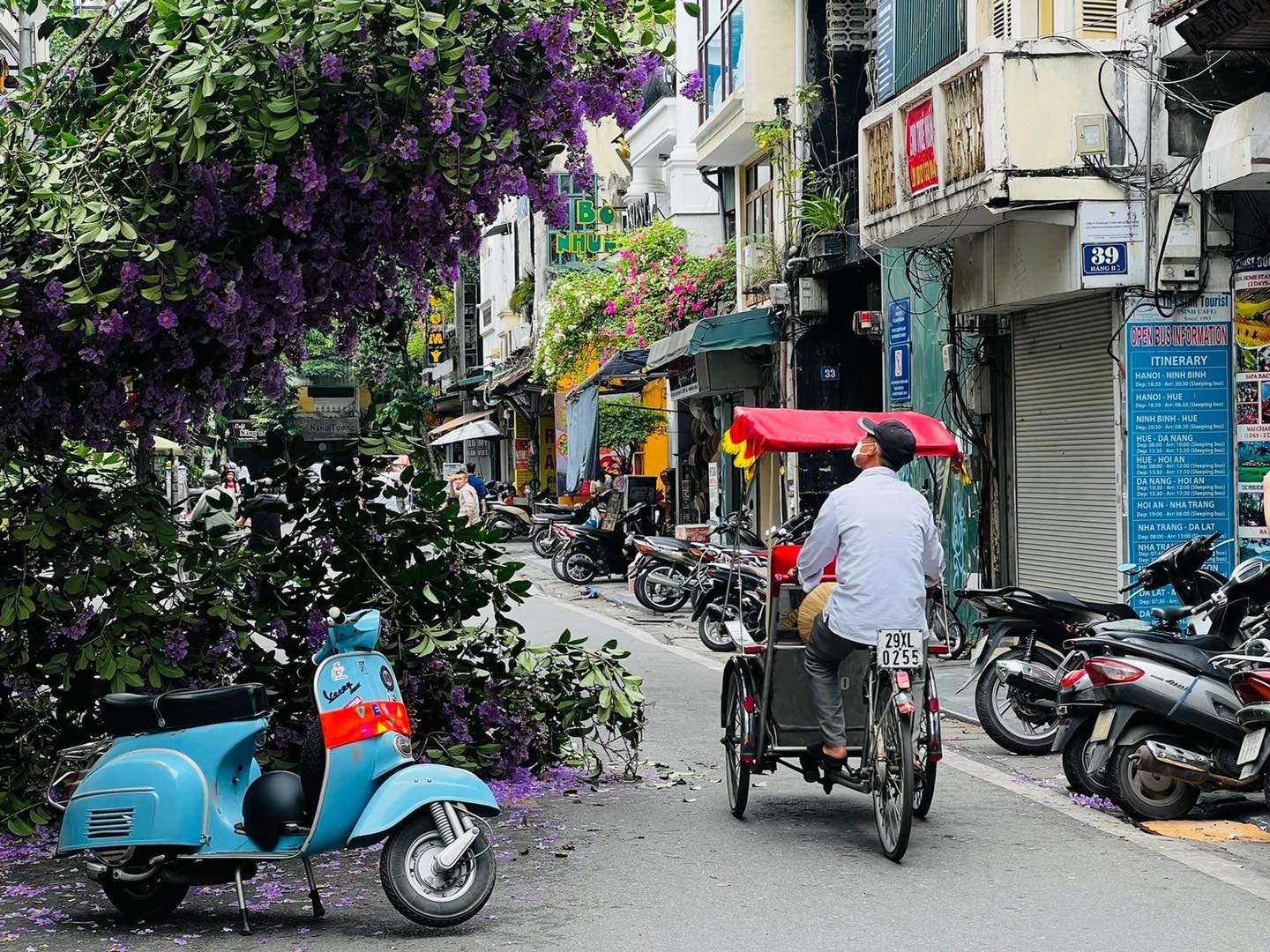 Cây bằng lăng tím bất ngờ gãy sụp giữa phố cổ Hà Nội, dân tình ồ ạt rủ nhau đến chụp hình vì quá ảo diệu - Ảnh 1.