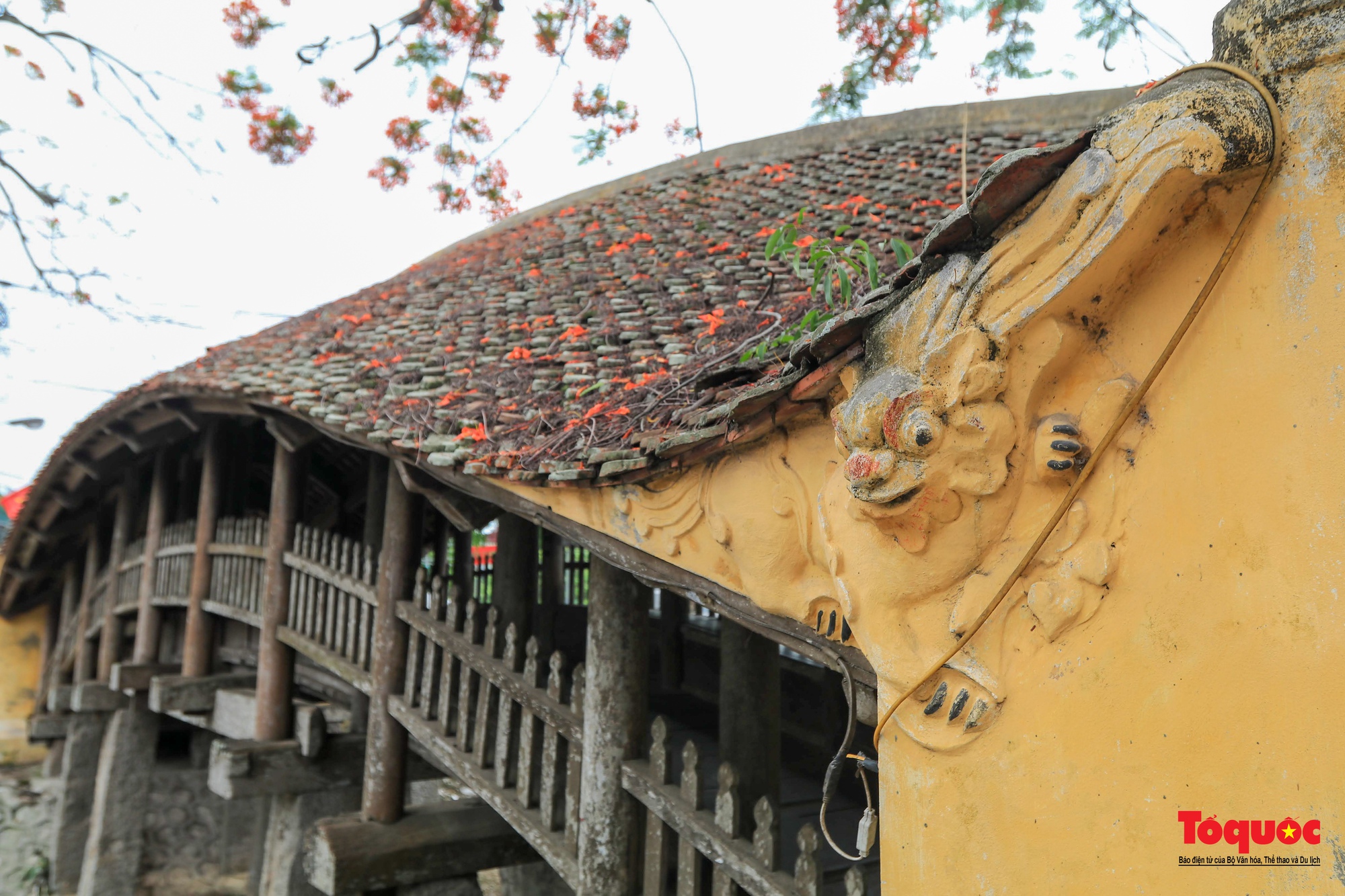 Vẻ đẹp của cây cầu ngói trên 500 tuổi tại Nam Định - Ảnh 16.