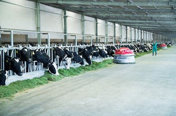  Mô hình Vinamilk Green Farm được chia sẻ tại Hội nghị Sữa toàn cầu - Ảnh 10.