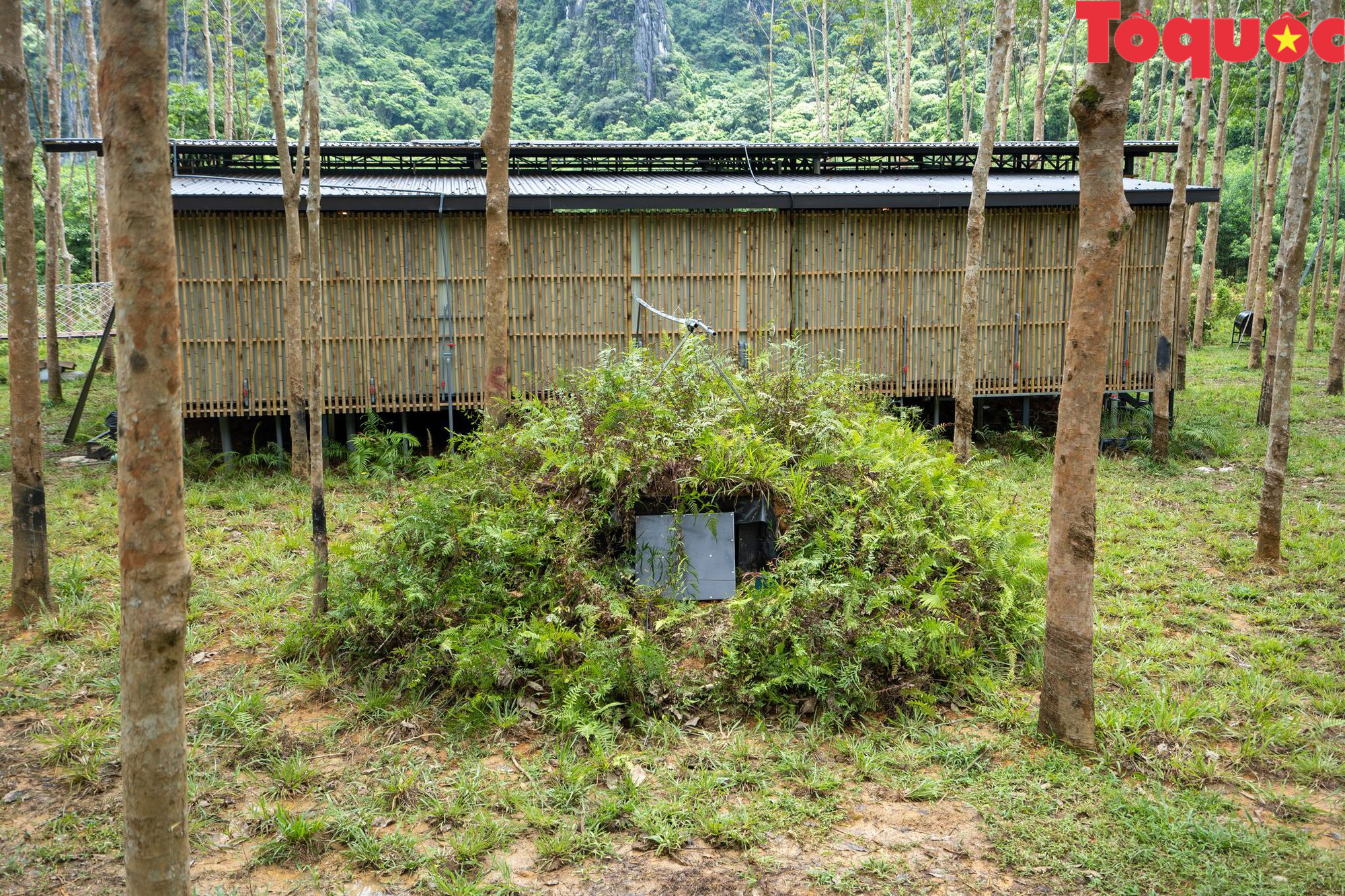 Quảng Bình: Độc đáo khu cắm trại với hệ thống làm mát tự nhiên như ở trong hang động - Ảnh 4.