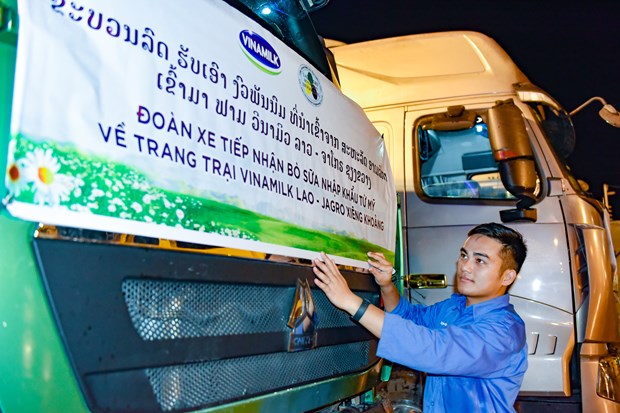 Vinamilk nhập đàn bò sữa 1000 con từ Mỹ về trang trại bò sữa Lao-Jagro tại Lào  - Ảnh 3.