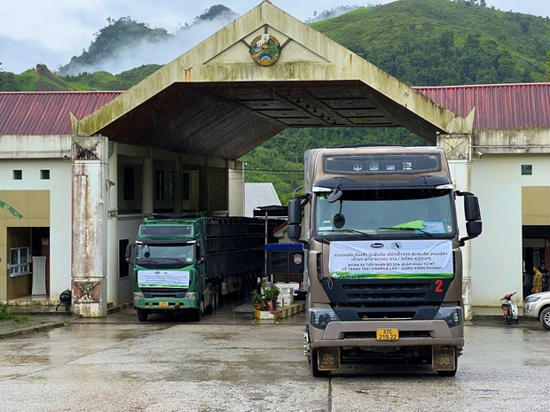 Vinamilk nhập đàn bò sữa 1000 con từ Mỹ về trang trại bò sữa Lao-Jagro tại Lào  - Ảnh 5.