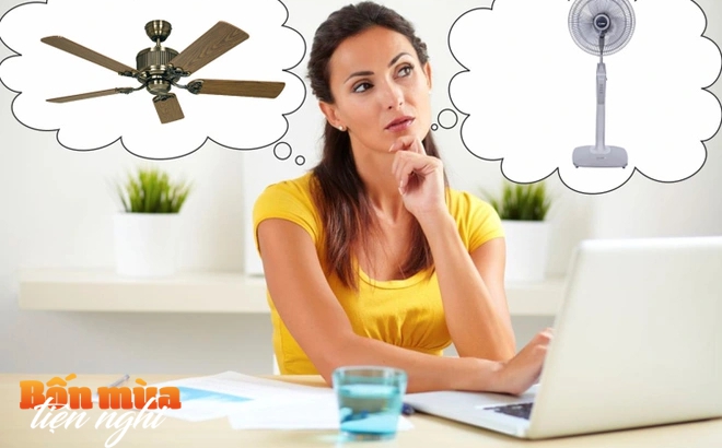 Nên dùng quạt cây hay quạt trần cho mùa hè? Một chi tiết sẽ quyết định lựa chọn đúng