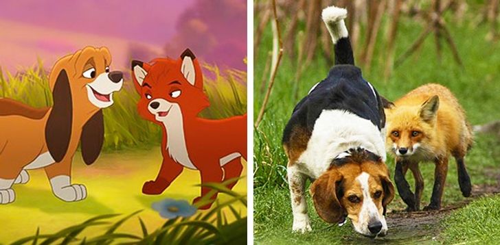 Bất ngờ phát hiện các loài động vật ở đời thực là bản sao của loạt nhân vật trong phim hoạt hình - Ảnh 5.