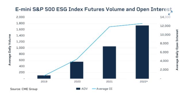 ESG – Xu hướng thế giới và sự “nhận diện” của nhà đầu tư Việt?  - Ảnh 4.