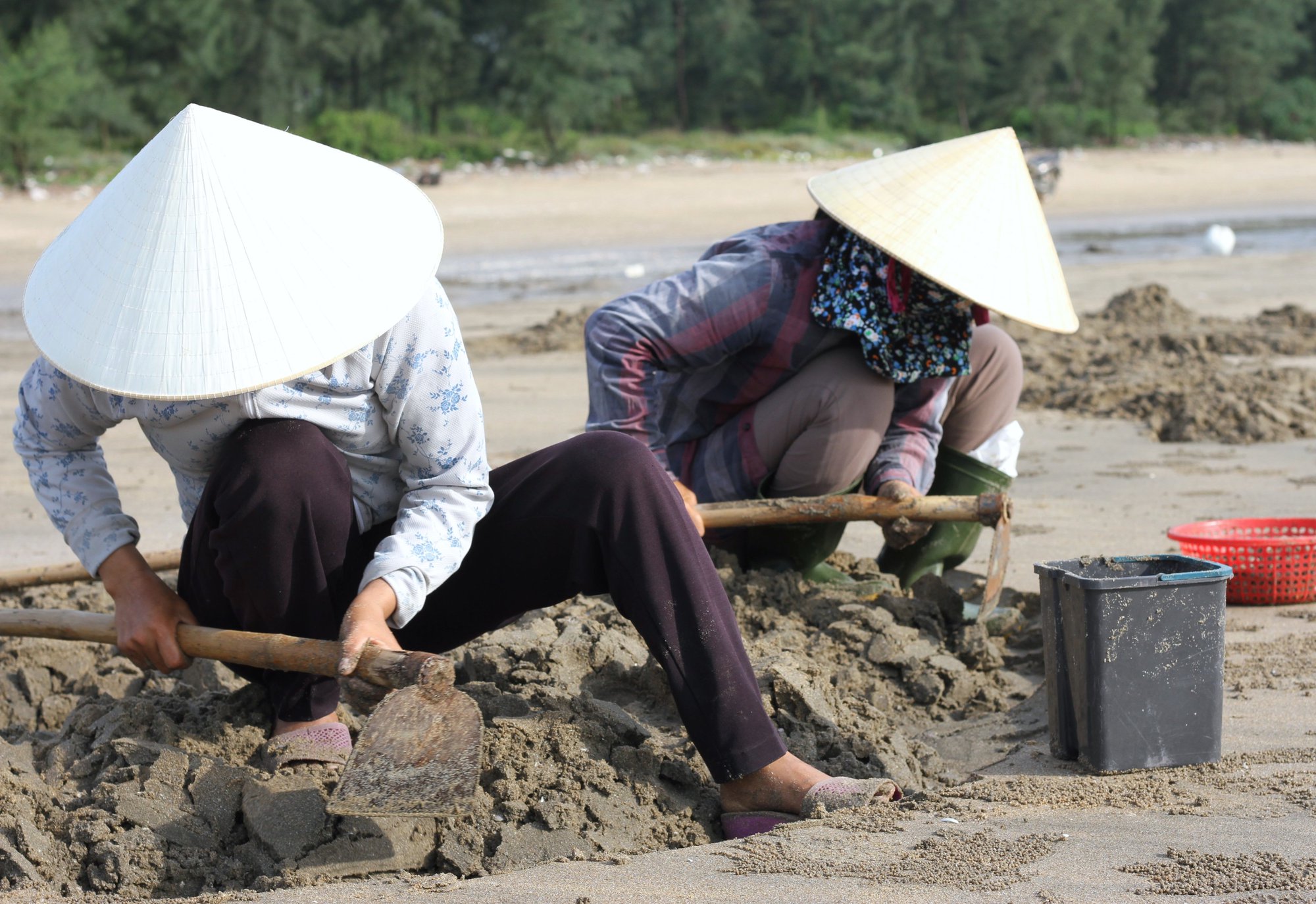 Thi nhau xới tung bãi cát tìm bắt &quot;lộc biển&quot; ở Nghệ An - Ảnh 5.