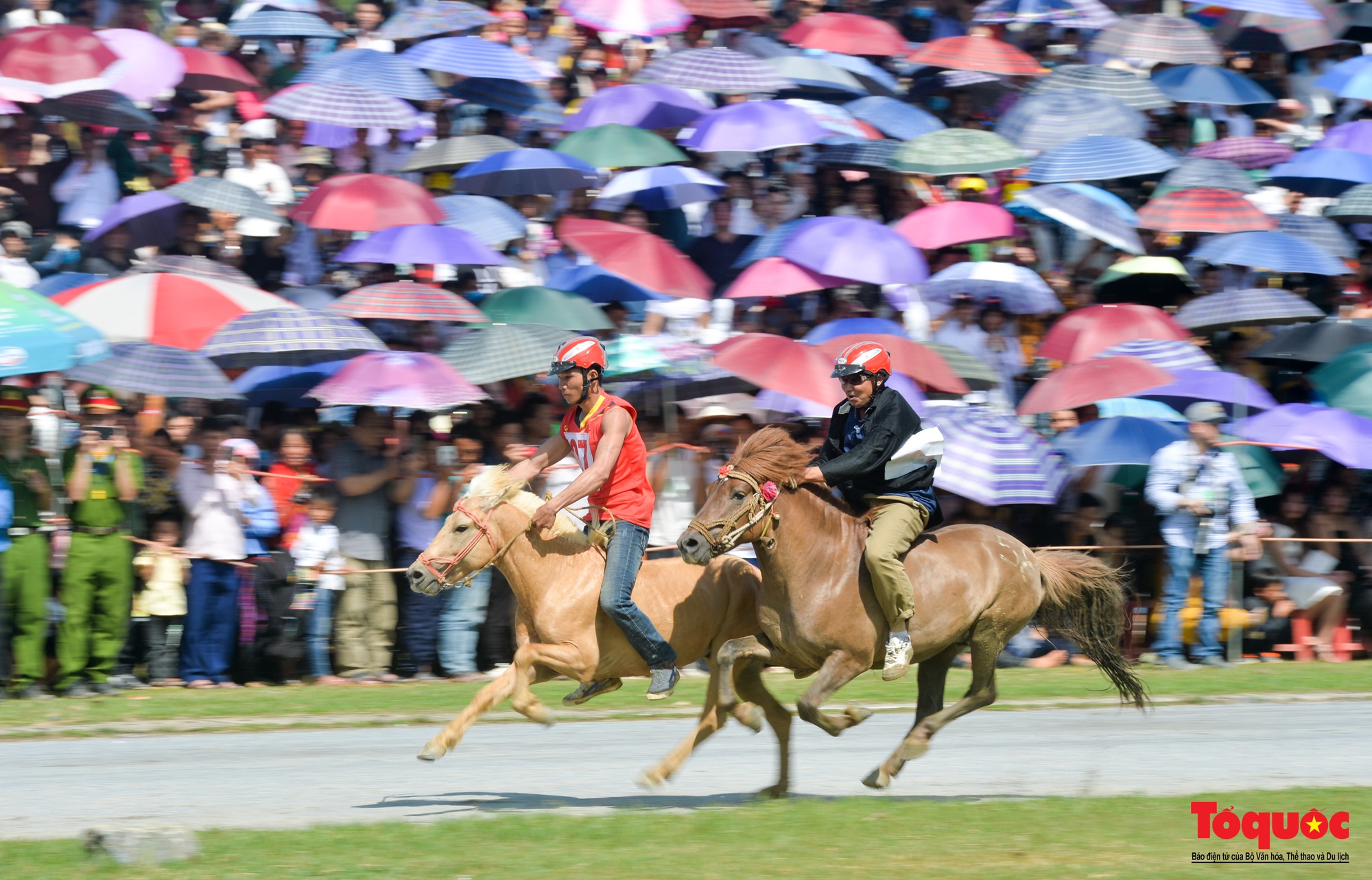 Lễ hội đua ngựa Bắc Hà: Nét văn hóa đặc sắc của đồng bào các dân tộc Tây Bắc - Ảnh 15.