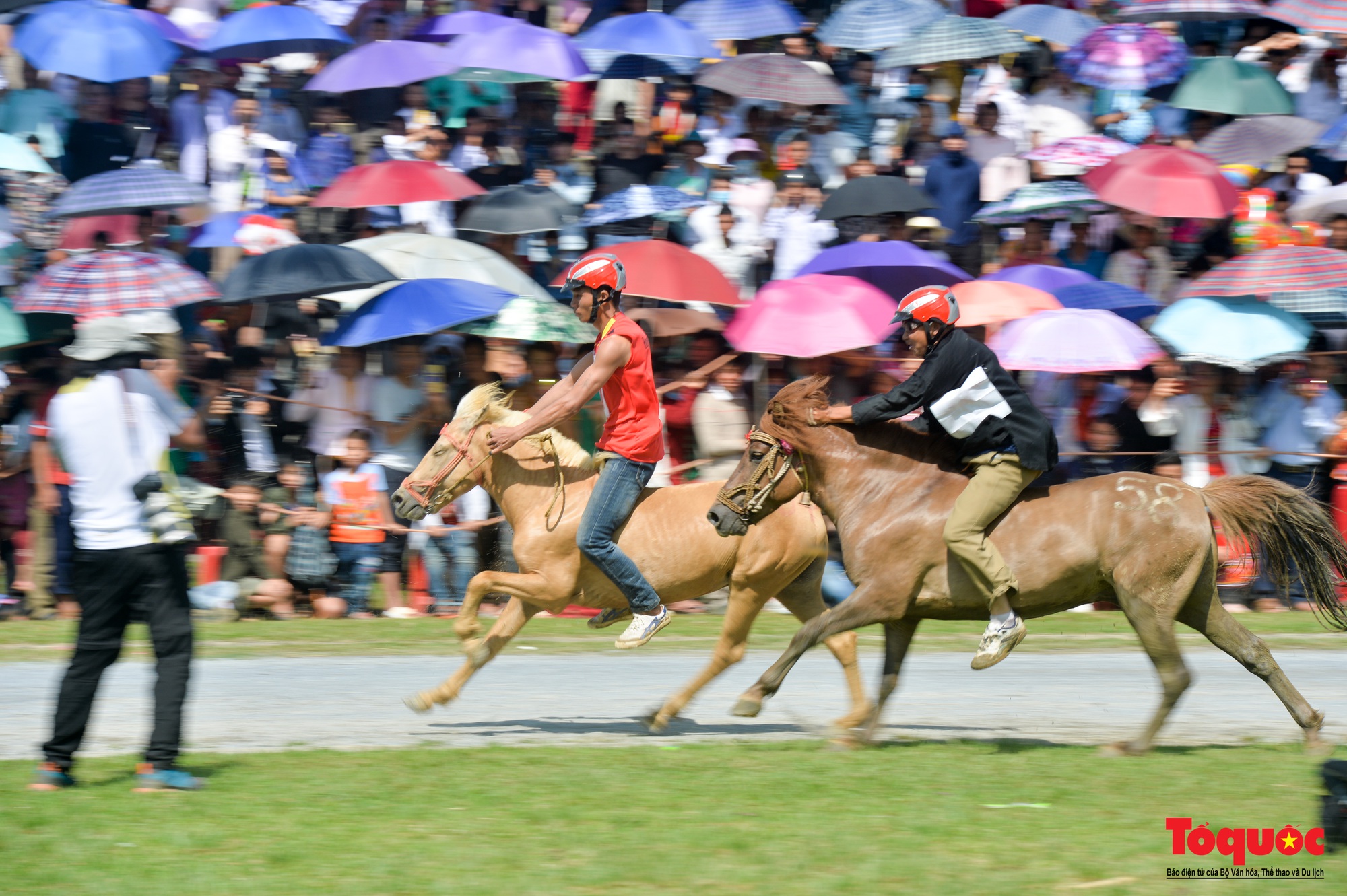 Lễ hội đua ngựa Bắc Hà: Nét văn hóa đặc sắc của đồng bào các dân tộc Tây Bắc - Ảnh 9.