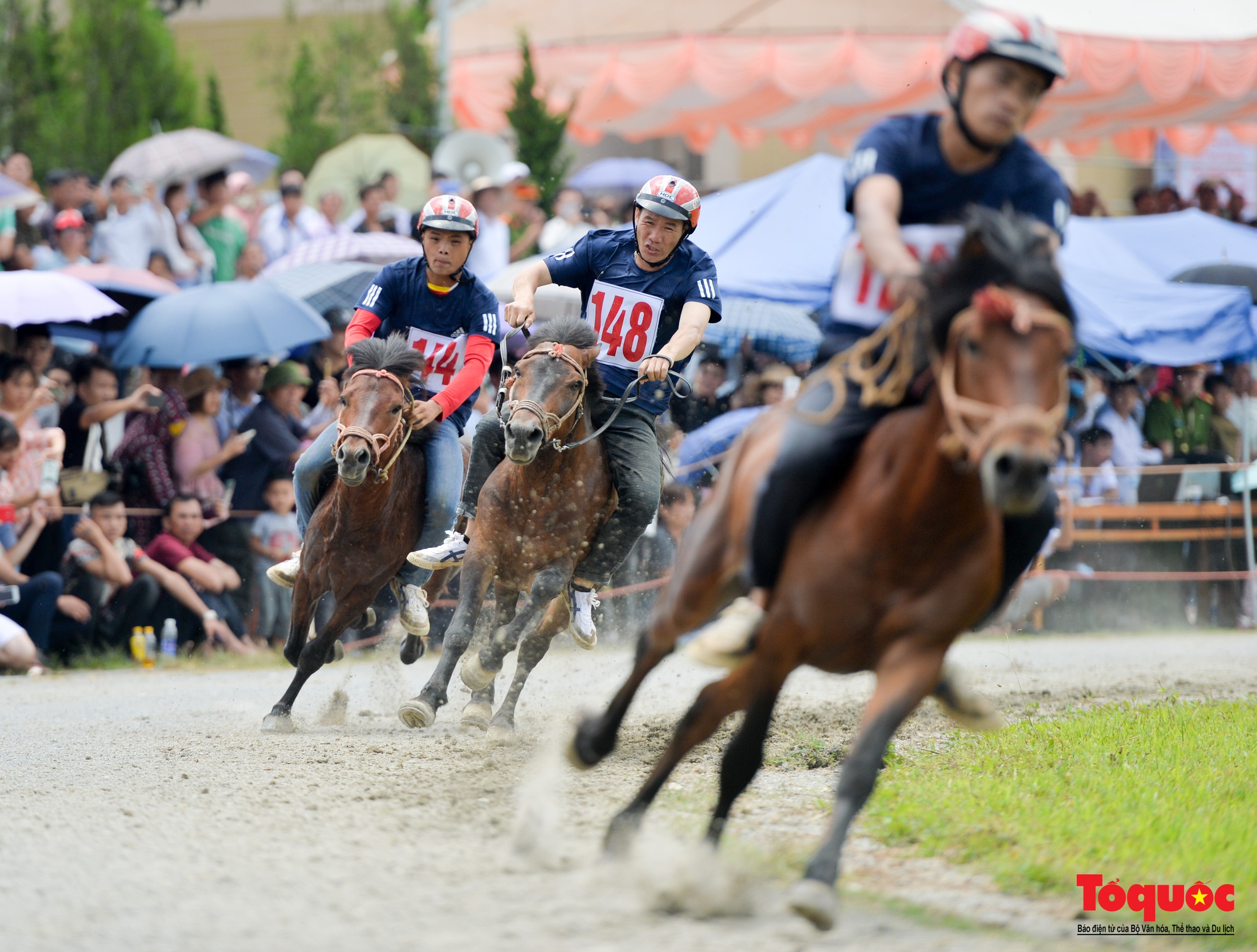 Lễ hội đua ngựa Bắc Hà: Nét văn hóa đặc sắc của đồng bào các dân tộc Tây Bắc - Ảnh 14.