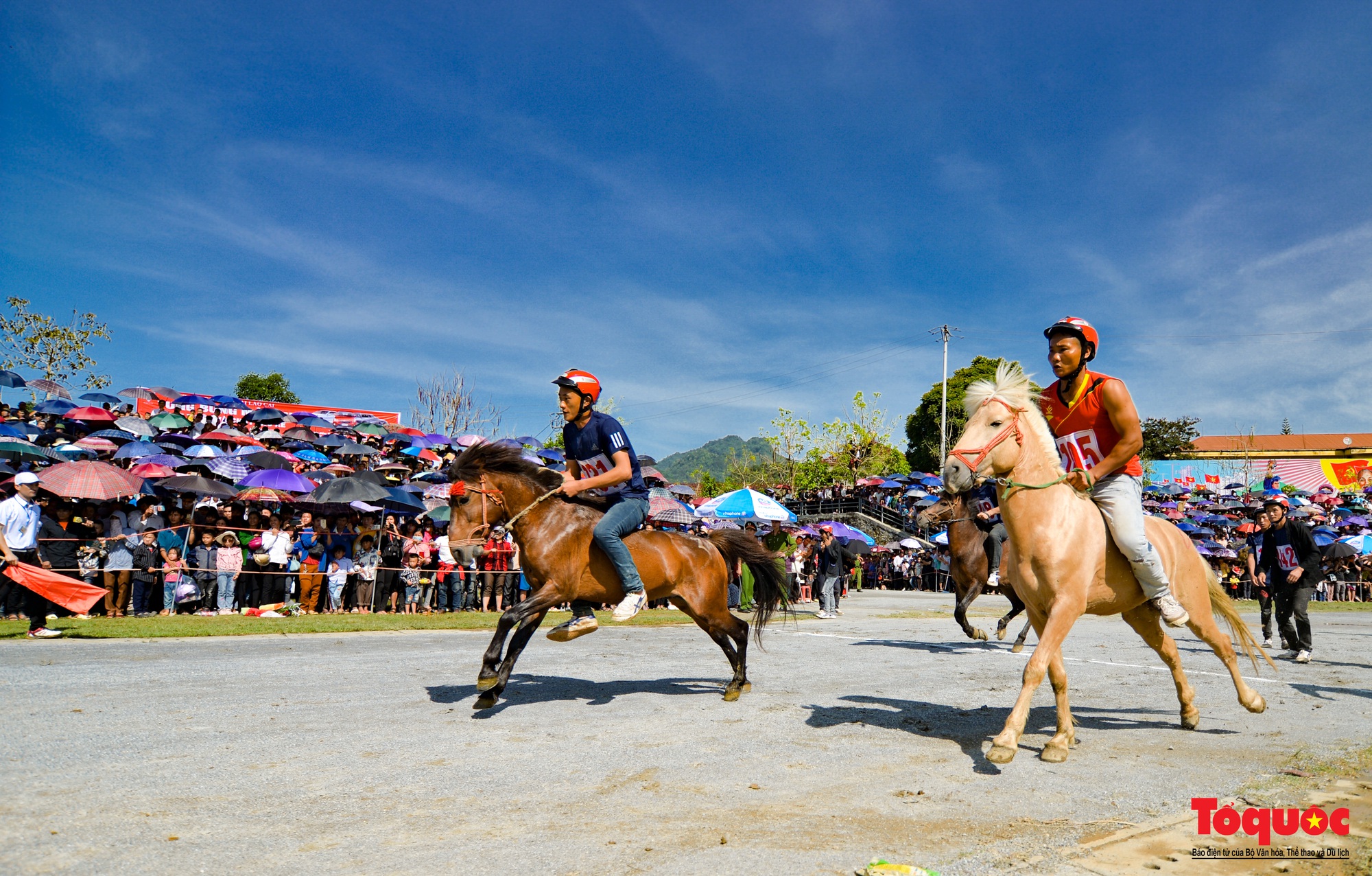 Lễ hội đua ngựa Bắc Hà: Nét văn hóa đặc sắc của đồng bào các dân tộc Tây Bắc - Ảnh 5.