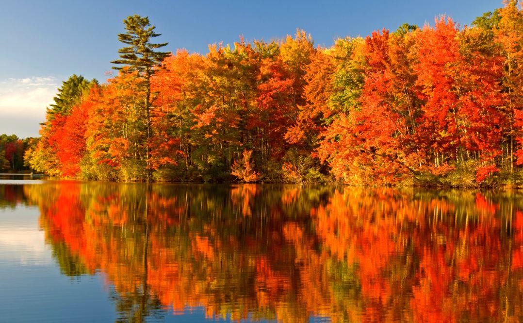 Chuyên trang du lịch nổi tiếng gợi ý 5 điểm đến đẹp nhất vào mùa thu tại Canada - Ảnh 1.