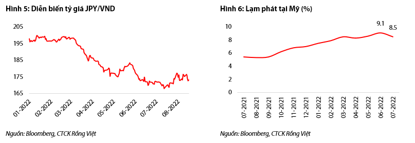 19082022_Quan_Hình 4.png