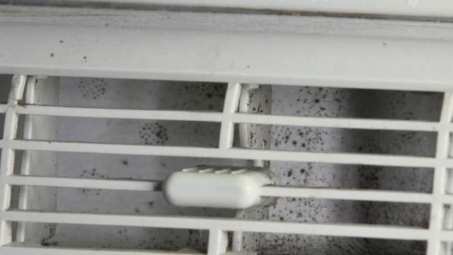 Nấm mốc trong máy điều hòa không khí: Cách phát hiện và xử lý vấn đề - Ảnh 3.