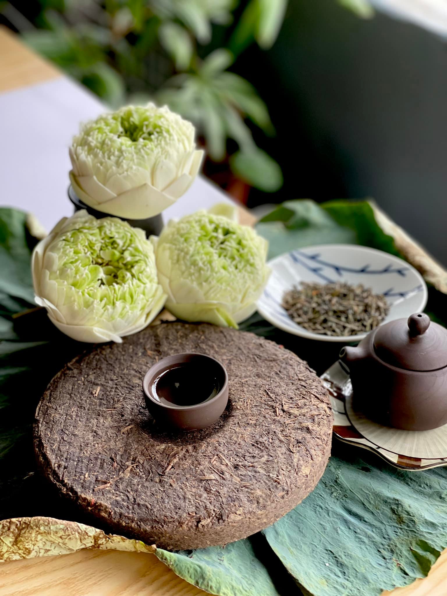 Thú chơi trà nhiều chị em si mê, sẵn sàng từ bỏ túi xách, mỹ phẩm hàng hiệu - Ảnh 1. Thú chơi trà nhiều chị em si mê, sẵn sàng từ bỏ túi xách, mỹ phẩm hàng hiệu - Ảnh 1.