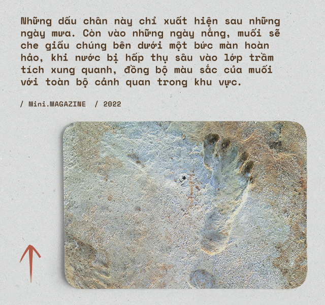 Không quân Mỹ phát hiện những &quot;dấu chân ma&quot; trên sa mạc: Và họ đã vẽ lại cuộc sống của những linh hồn chúng thuộc về - Ảnh 8.
