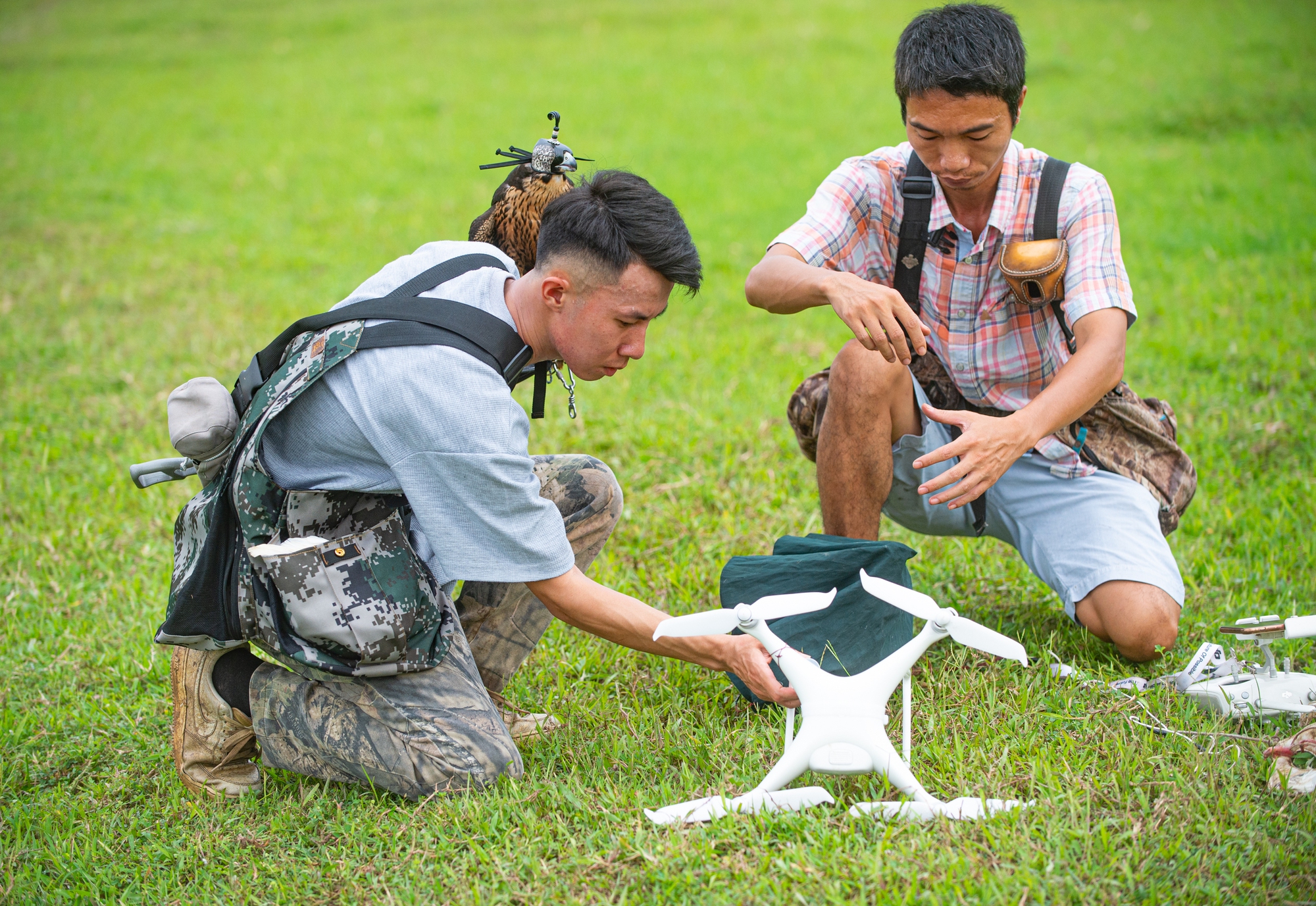 Ảnh: Dùng flycam, định vị GPS, tiêu tốn hàng chục triệu huấn luyện chim săn mồi để giải trí - Ảnh 7.