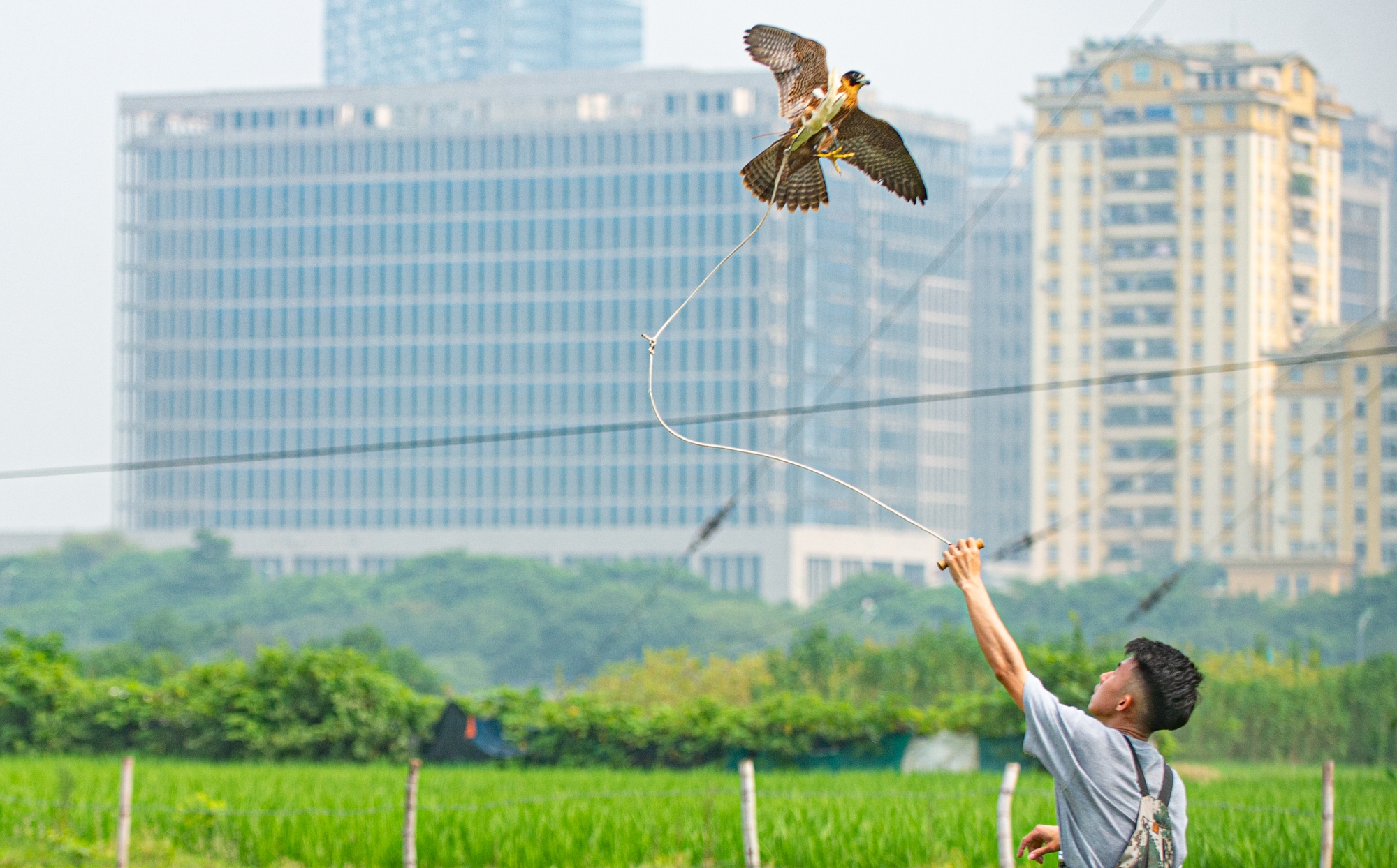 Ảnh: Dùng flycam, định vị GPS, tiêu tốn hàng chục triệu huấn luyện chim săn mồi để giải trí - Ảnh 9.