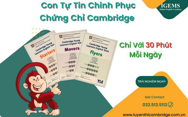 Con tự tin chinh phục chứng chỉ Cambridge chỉ với 30 phút mỗi ngày - Ảnh 1.