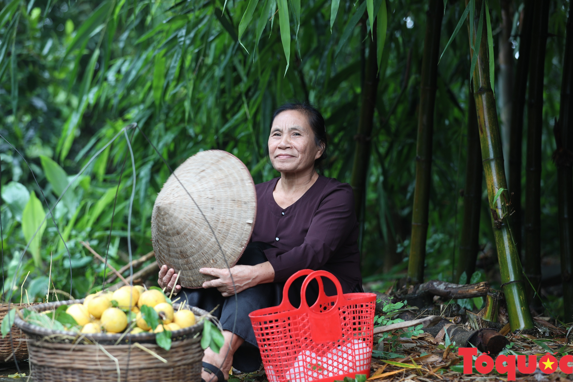 Cùng gánh thị của bà mang mùa thu ra phố - Ảnh 13.