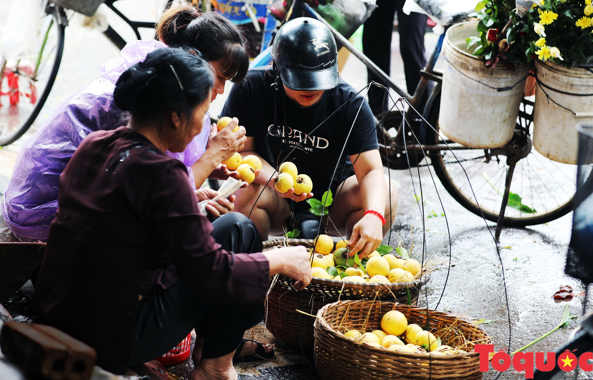 Cùng gánh thị của bà mang mùa thu ra phố - Ảnh 16.