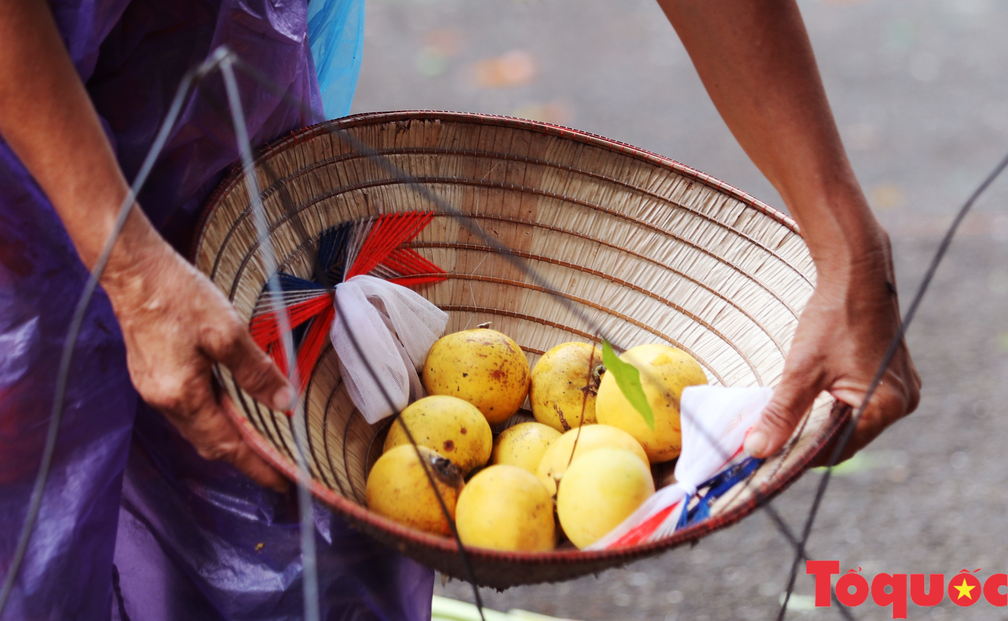 Cùng gánh thị của bà mang mùa thu ra phố - Ảnh 18.